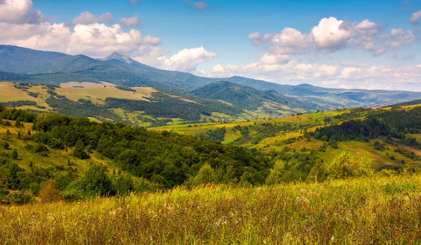 Sonbahar Kırsal Karpat Dağları Nın Ormanlık Tepeleri Muhteşem Pikui Karpat — Stok fotoğraf