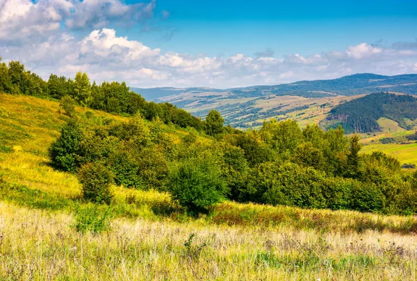 Schöne Karpaten Landschaft Herbst Schöne Landschaft Der Gebirgigen Volovets Bezirk — Stockfoto