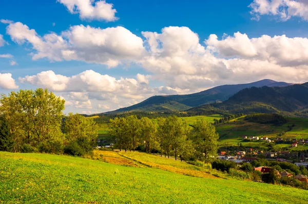 Bela Paisagem Nas Montanhas Árvores Nas Colinas Gramadas Dos Volovets — Fotografia de Stock