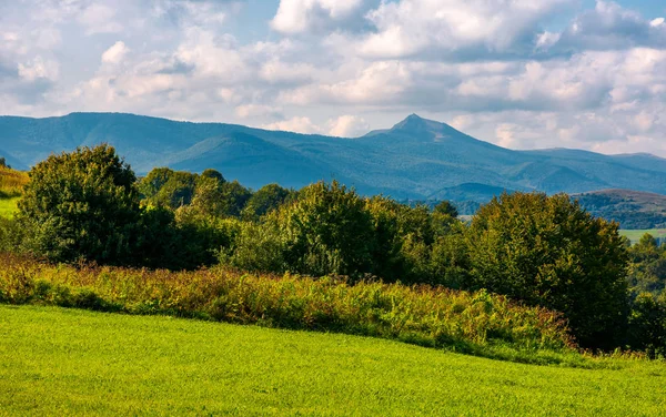 Skog Gräsbevuxen Kulle Eftermiddag Pikui Berg Fjärran Molniga Eftermiddagen Himmel — Stockfoto