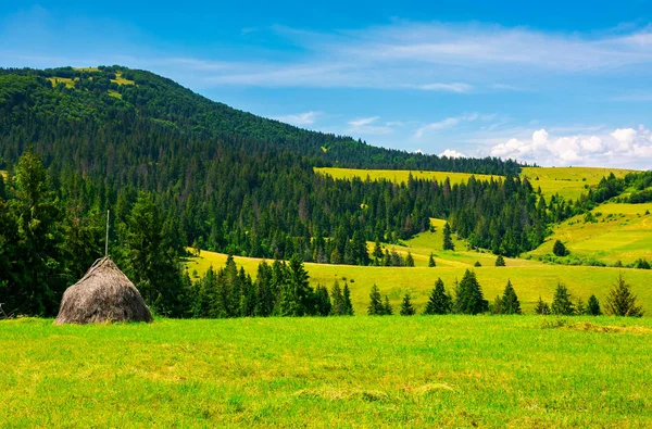 Bergige Ländliche Gegend Einem Strahlenden Sommertag Sanfte Hügel Mit Heuhaufen — Stockfoto
