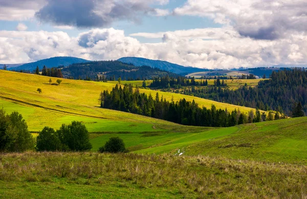 Beboste Met Gras Begroeide Heuvels Een Bewolkte Dag Mooie Landschap — Stockfoto