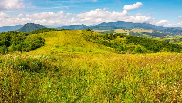 Podzimní Krajina Karpaty Travnaté Louce Nádherné Pikui Vrchol Karpatské Rozdělení Stock Fotografie