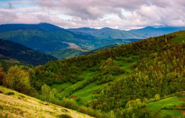 Karpat Dağları güzel tepeler. güzel yaz manzara, kuş bakışı manzaralar