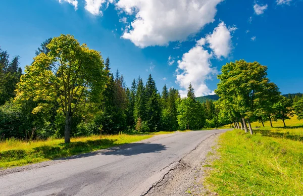 在山上的道路上的树木 美丽的自然风光在山区 可爱的交通背景 晴朗的夏日 蓝天上乌云密布 — 图库照片