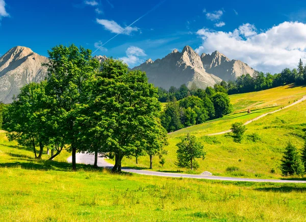 Árvores Pela Estrada Altas Montanhas Tatra Imagem Composta Paisagem Natural — Fotografia de Stock