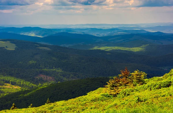 Zalesione Wzgórza Toczenia Pochmurny Dzień Natura Krajobraz Górzystą Okolicę Wspaniała — Zdjęcie stockowe
