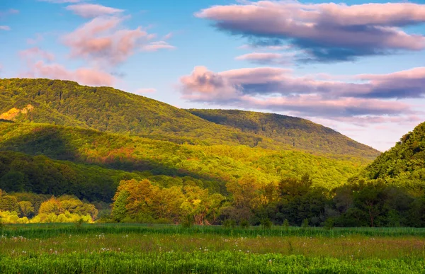 Prachtige Bergachtige Landschap Bij Zonsopgang Mooie Zomer Landschap Met Roze — Stockfoto