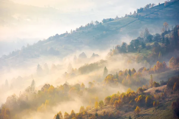 Bewaldete Hügel Aufsteigenden Herbstnebel Atemberaubende Landschaft Den Karpaten Schöne Natur — Stockfoto