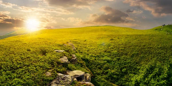 Panorama Del Prado Ladera Atardecer Precioso Paisaje Verano Con Rocas — Foto de Stock