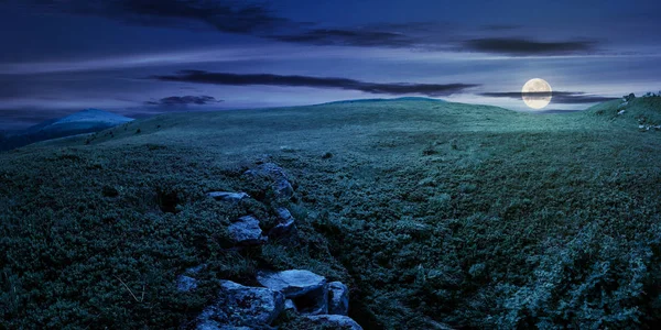 Panorama Van Heuvel Weide Volle Maanlicht Nachts Mooie Zomer Landschap — Stockfoto