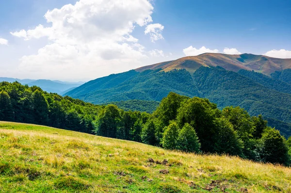 Hermoso Paisaje Montañas Los Cárpatos Colinas Boscosas Montaña Apetska Distancia — Foto de Stock