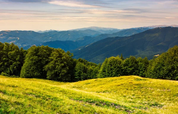 山の中の芝生の草原の森 いくつかの雲と青い空の下遠くクラスナ山と美しい夏の風景 — ストック写真