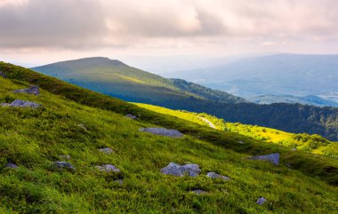 Runa dağ sabah çimenli yamaçları. güzel yaz manzara Karpat Dağları'nın