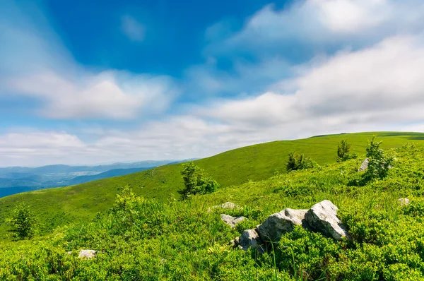 露娜山上的草山 美丽的绿色环境在夏天 移动云 长曝光模拟 — 图库照片