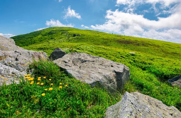 在草地山坡上的蒲公英周围的博尔德 蔚蓝的天空下有云的蓝山美丽的夏日风光 — 图库照片