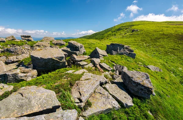 hillside kenarında büyük kayalar. güzel havalarda yaz dağ manzarası