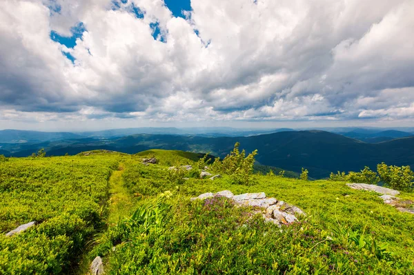 Path Grassy Slope Top Mountain Lovely Summer Landscape Wonderful Place — Stock Photo, Image