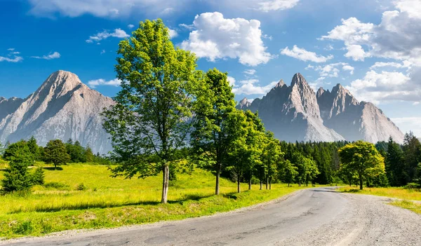 Rad Träd Längs Vägen Bergen Sammansatta Bergiga Landskap Med Klippiga — Stockfoto