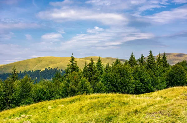 Letní Krajina Zalesněnými Kopci Překrásné Scenérie Svydovets Horského Hřebene Ukrajina — Stock fotografie