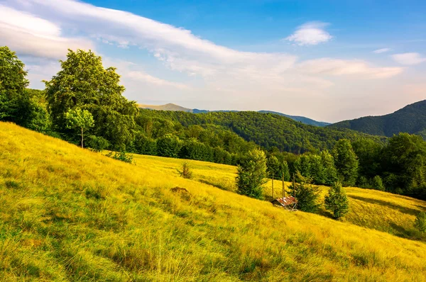 Hayshed Louce Mezi Bukového Lesa Krásný Večer Scenérie Karpatské Hory — Stock fotografie