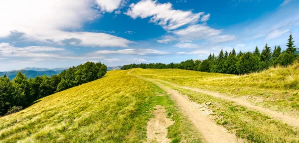 Estrada Através Cume Montanha Arborizada Bela Paisagem Svydovets Cume Sob — Fotografia de Stock