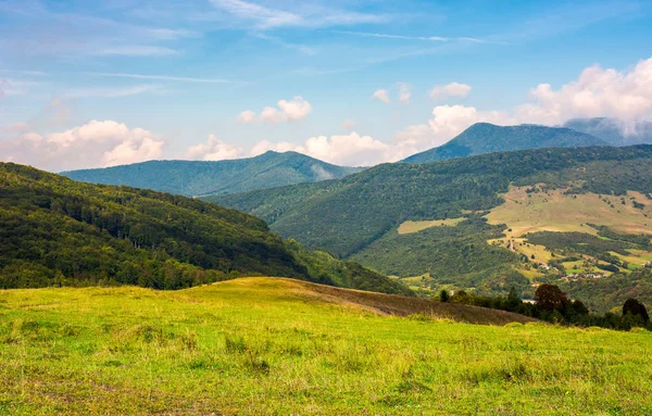 夏の終わりに草で覆われた丘 曇りの日に美しい山岳風景 — ストック写真
