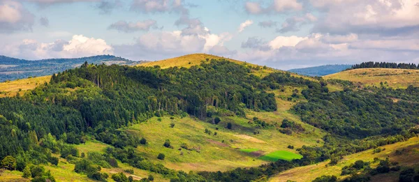 Панорама Лесных Холмов Облачный День Прекрасный Пейзаж Карпатской Сельской Местности — стоковое фото