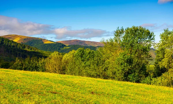 Les Travnatých Kopcích Karpaty Krásné Podzimní Krajina Podmračené Oblohy Jasného — Stock fotografie