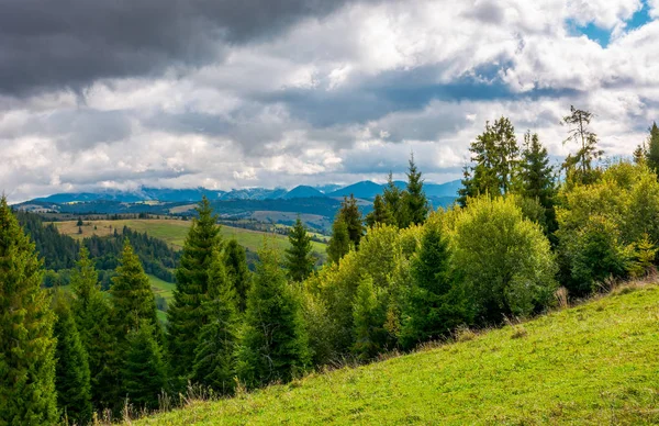 Zalesněnými Kopci Karpat Krásná Krajina Horský Hřbet Dálce — Stock fotografie