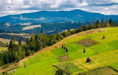 Hillside haystacks kırsal alanda sıra ile. güzel yaz tarım manzara dağlık alanda