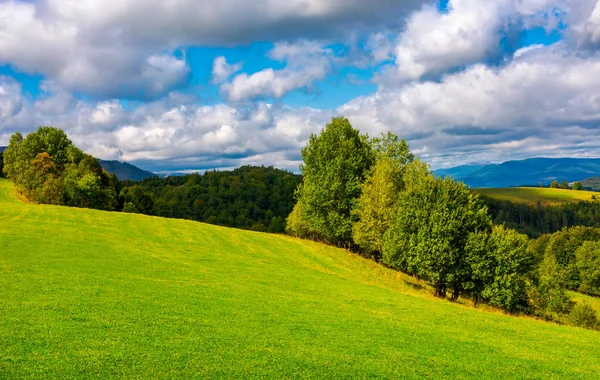 Mooie Grazige Weide Heuvel Bergen Rij Bomen Aan Rand Van — Stockfoto