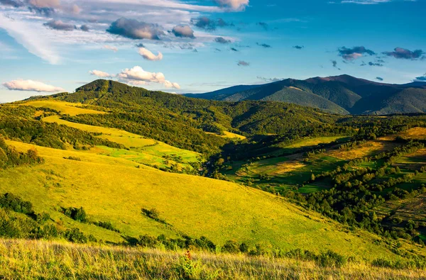 Travnaté Svahy Vysokých Horách Odpoledne Krásné Letní Krajina Boržava Horský — Stock fotografie