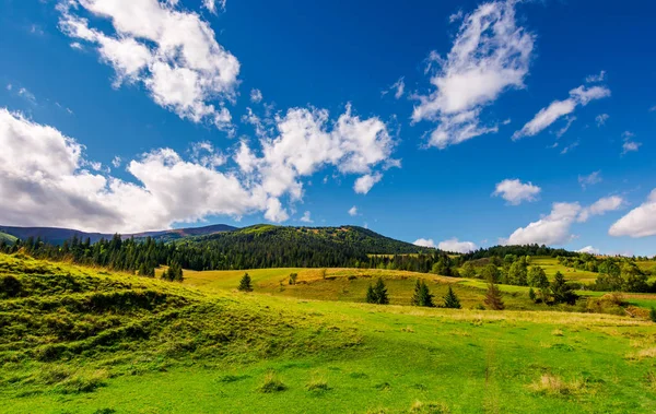 草が茂った草原および森林に覆われた丘 豪華な Cloudscape と紺碧の空の下遠くに山の尾根と美しい風景 — ストック写真