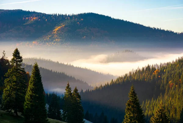 Herrlicher Nebliger Sonnenaufgang Den Bergen Wunderschöne Herbstliche Landschaft Des Apuseni — Stockfoto