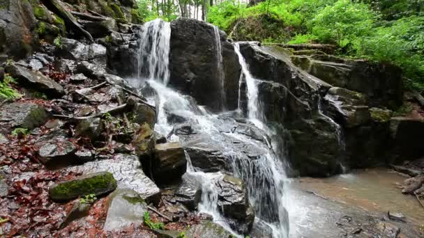 View Bottom Waterfall Skakalo Beautiful Summer Scenery Carpathian Nature Wild — Stock Video