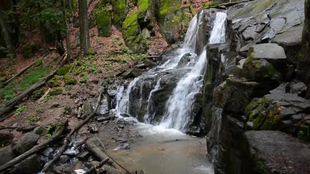 Wasserfall Skakalo Tiefen Buchenwald Schöne Sommerlandschaft Der Karpaten Natur Wilder — Stockvideo