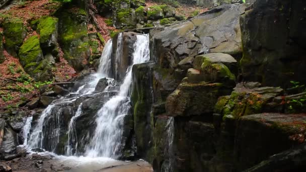 Vattenfall Skakalo Djupa Skogen Vacker Sommar Scenery Karpaterna Natur Vild — Stockvideo