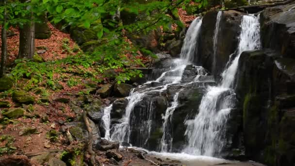 Wodospad Skakało Głębokim Lesie Piękne Lato Scenerii Przyrody Karpackiej Dzikie — Wideo stockowe