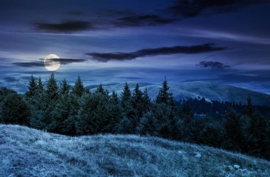 dolunay ışığı gece manzara ormanlık tepeleri ile yaz. Svydovets dağ sırtı, Ukrayna güzel sahne