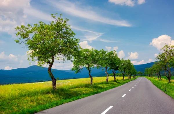 Row Trees Country Road Distant Mountains Beautiful Summer Landscape Stunning — Stock Photo, Image