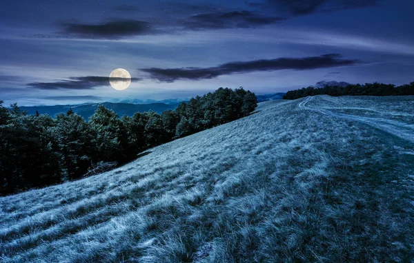 Estrada Montanha Para Floresta Faia Noite Luz Lua Cheia Svydovets — Fotografia de Stock