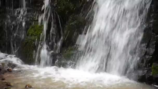 Flujo Agua Fondo Cascada Skakalo Hermoso Paisaje Verano Naturaleza Cárpatos — Vídeo de stock