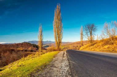 yeni asfalt yolda dağlara. Pikui dağın karlı üst mesafe ile. geç sonbaharda güzel güneşli havalarda. Konum Volovets serpantin, Transcarpathia, Ukrayna