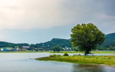 ağaç yaz üzerinde Zemplinska Sirava kıyı. güzel ve sakin bir en büyük Slovakça vücuttaki su toplayan. Kaluza tatil köyü uzakta