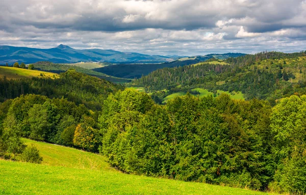 Colinas Arborizadas Montanhas Dos Cárpatos Paisagem Maravilhosa Início Outono Dia — Fotografia de Stock