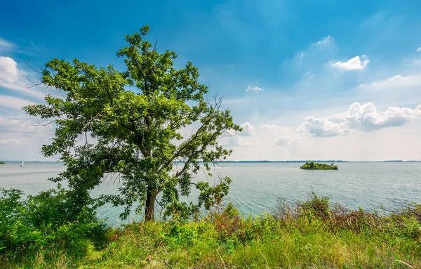 Isla Lago Zemplinska Sirava Hermoso Paisaje Eslovaquia Día Verano Tranquilo —  Fotos de Stock