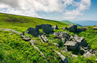 çimenli tepelerde büyük kayalık oluşumlar. bulutlu bir günde geç yaz aylarında güzel dağ manzarası. konumu Runa dağ, Ukrayna
