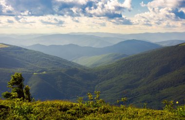 bir bulutlu yaz öğleden sonra tepeler. kabarık bulutlar uzak dağ sırtı üzerinde. güzel ışık, harika doğa arka planda dağlık manzara