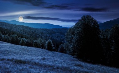 çayır yaz dağ ormanlık tepeye on manzara gece dolunay ışık. yüksek irtifa üzerinde güzel doğa manzarası